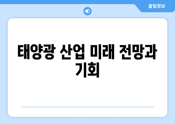 태양광 산업 미래 전망과 기회