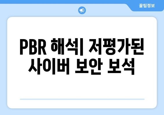 PBR 해석| 저평가된 사이버 보안 보석