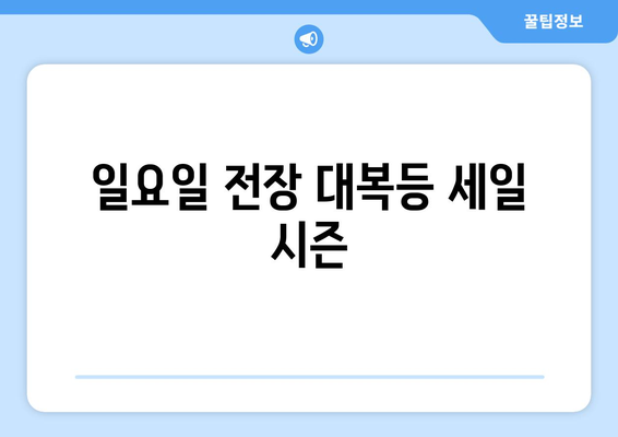 일요일 전장 대복등 세일 시즌