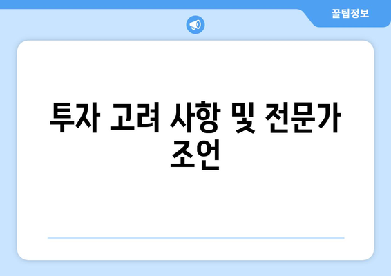 투자 고려 사항 및 전문가 조언