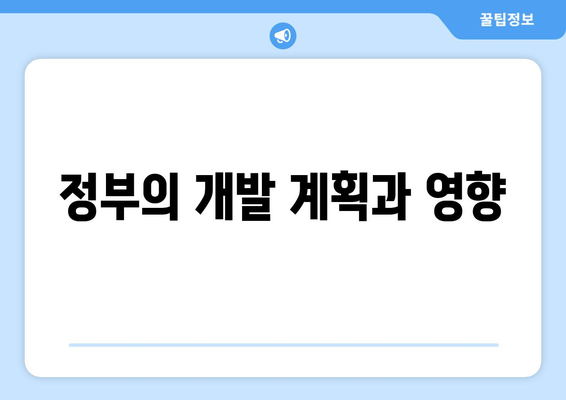 정부의 개발 계획과 영향