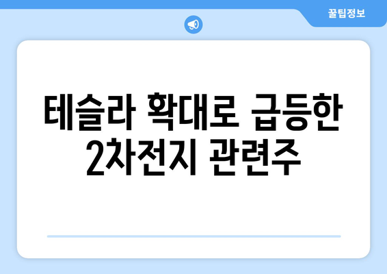 테슬라 확대로 급등한 2차전지 관련주