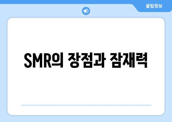 SMR의 장점과 잠재력