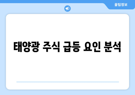 태양광 주식 급등 요인 분석