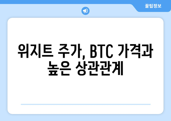 위지트 주가, BTC 가격과 높은 상관관계