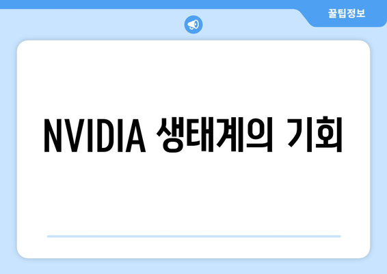 NVIDIA 생태계의 기회