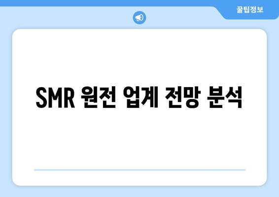 SMR 원전 업계 전망 분석