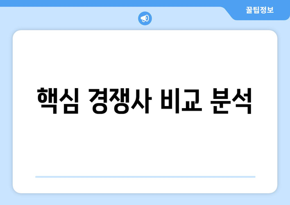 핵심 경쟁사 비교 분석