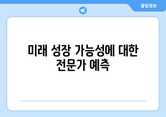 미래 성장 가능성에 대한 전문가 예측