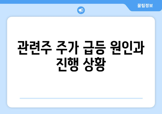 관련주 주가 급등 원인과 진행 상황