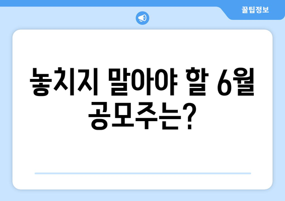 놓치지 말아야 할 6월 공모주는?