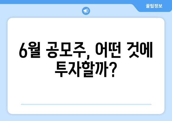 6월 공모주, 어떤 것에 투자할까?