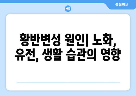 황반변성, 망막질환의 주요 원인과 치료 방법 | 황반변성 치료, 눈 건강, 시력 저하