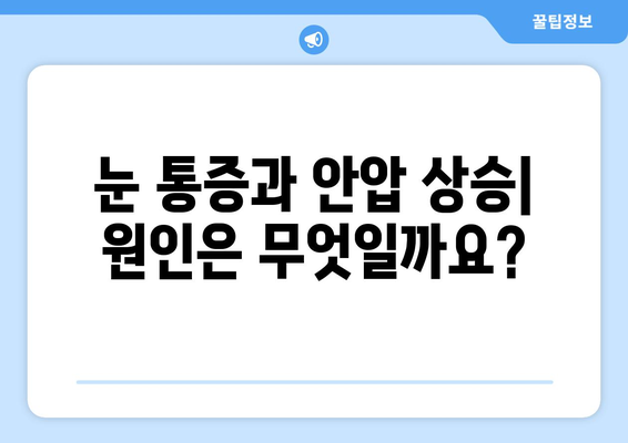 눈 통증과 안압 상승, 원인과 증상 그리고 관리법 | 눈 건강, 안압, 통증, 관리, 예방