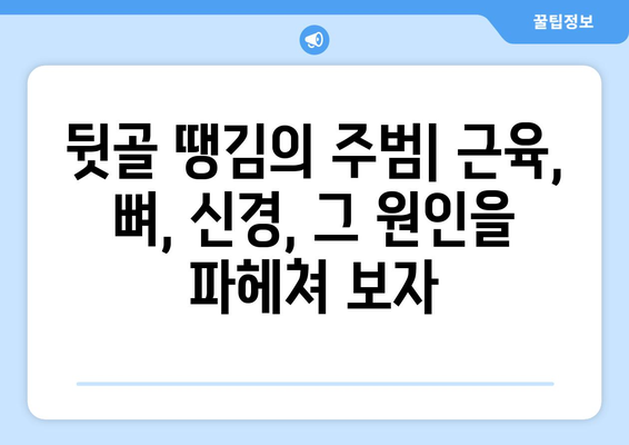 뒷골이 땡기는 이유| 두통과 눈통증 유발 원인 파헤치기 | 뒷골 통증, 두통, 눈통증, 원인 분석, 해결 방안