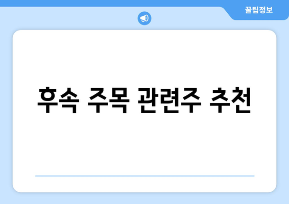 후속 주목 관련주 추천