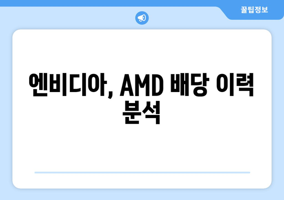 엔비디아, AMD 배당 이력 분석