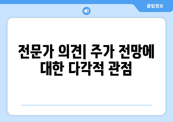 전문가 의견| 주가 전망에 대한 다각적 관점