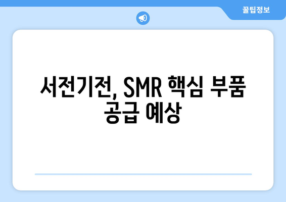 서전기전, SMR 핵심 부품 공급 예상