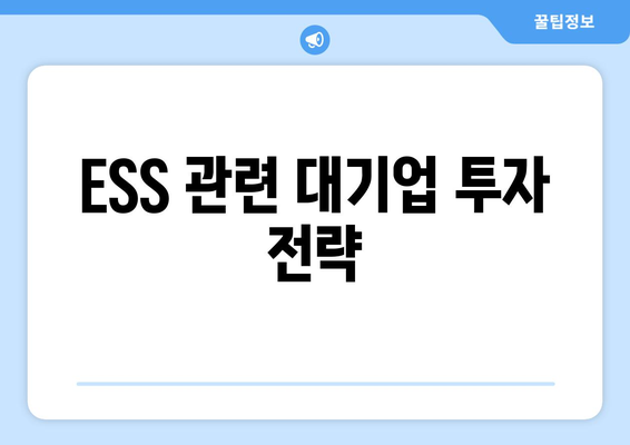 ESS 관련 대기업 투자 전략