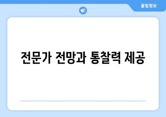 전문가 전망과 통찰력 제공