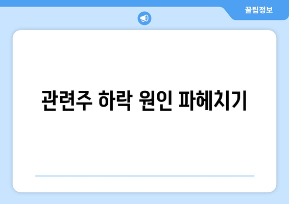 관련주 하락 원인 파헤치기