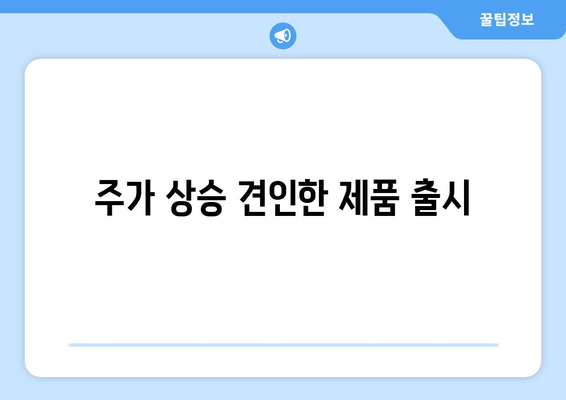 주가 상승 견인한 제품 출시