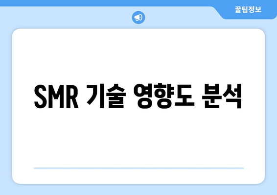 SMR 기술 영향도 분석