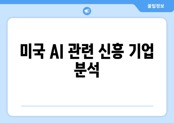 미국 AI 관련 신흥 기업 분석