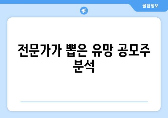 전문가가 뽑은 유망 공모주 분석