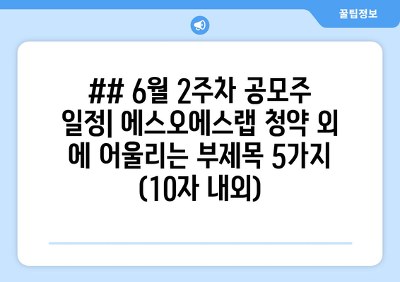 ## 6월 2주차 공모주 일정| 에스오에스랩 청약 외 에 어울리는 부제목 5가지 (10자 내외)