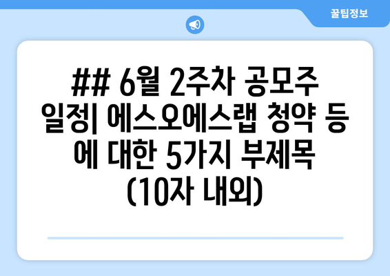 ## 6월 2주차 공모주 일정| 에스오에스랩 청약 등 에 대한 5가지 부제목 (10자 내외)