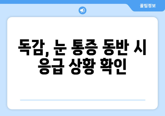 독감과 눈통증| 응급 상황을 알아야 할 때 | 독감 증상, 눈 통증, 응급처치, 의료 상담