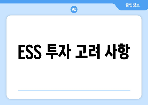 ESS 투자 고려 사항