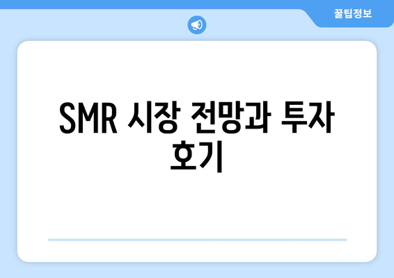 SMR 시장 전망과 투자 호기