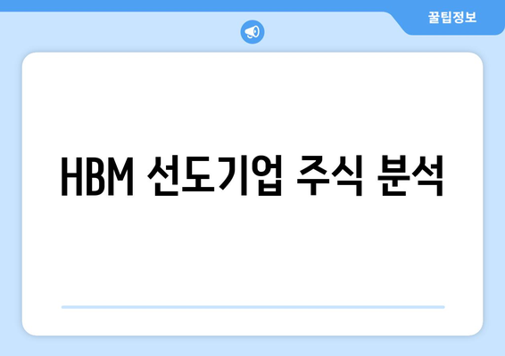 HBM 선도기업 주식 분석