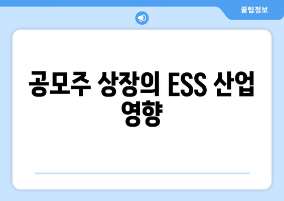 공모주 상장의 ESS 산업 영향