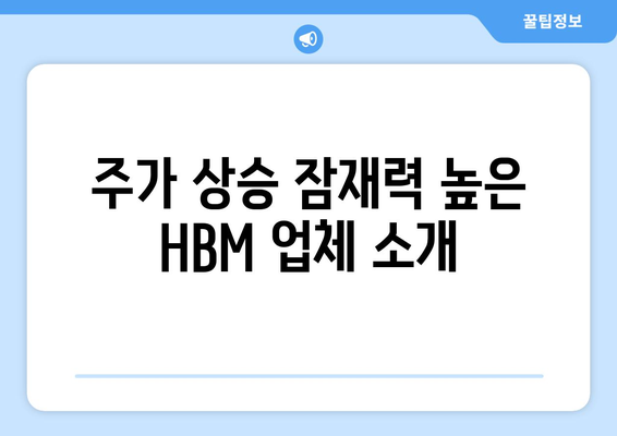 주가 상승 잠재력 높은 HBM 업체 소개