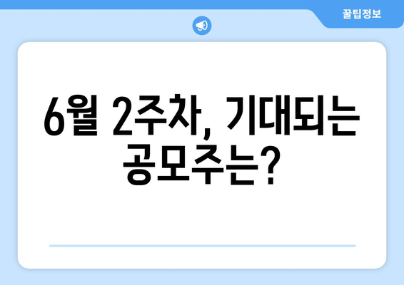 6월 2주차, 기대되는 공모주는?