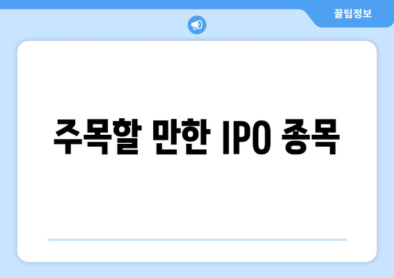 주목할 만한 IPO 종목