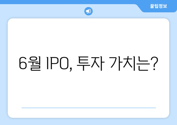 6월 IPO, 투자 가치는?