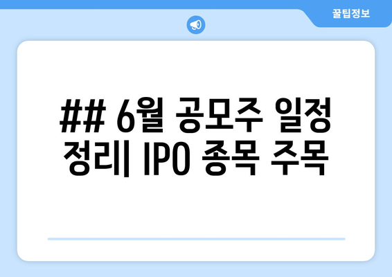 ## 6월 공모주 일정 정리| IPO 종목 주목