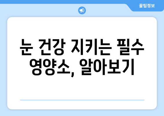 눈 통증 해결에 도움 되는 영양제 효과 후기| 눈 건강 지키는 필수 정보 | 눈 피로, 눈 건조, 눈 통증, 영양제 추천, 후기