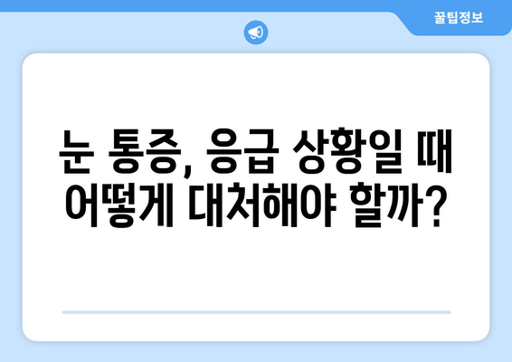 눈 통증, 영양제로 해결할 수 있을까? | 눈 통증 완화, 응급 상황 대처법, 영양제 추천