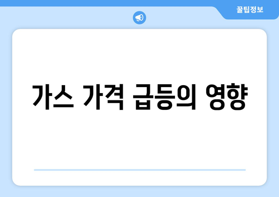 가스 가격 급등의 영향