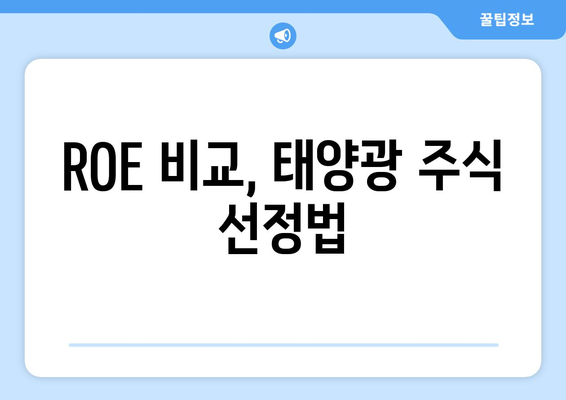 ROE 비교, 태양광 주식 선정법