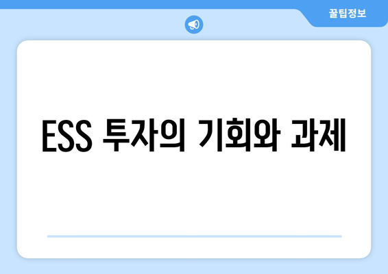 ESS 투자의 기회와 과제