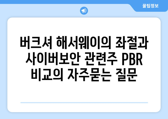 버크셔 해서웨이의 좌절과 사이버보안 관련주 PBR 비교