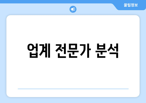 업계 전문가 분석