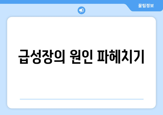 급성장의 원인 파헤치기